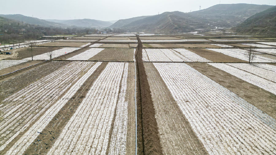 北城铺镇2024年高标准农田建设高效节水灌溉项目建设现场（陈佰万 摄）