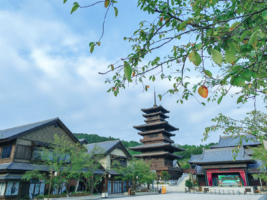 图为东山问梅景区 （石勋 摄）