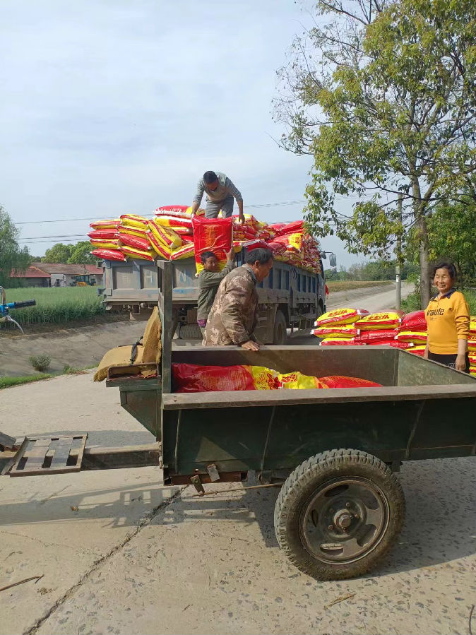 图为村民郑传权正在卸货新洋丰化肥(宋玉凤 摄) 图为村民郑传权正在卸货新洋丰化肥(宋玉凤 摄)