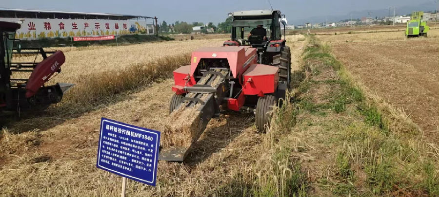  秸秆打捆作业（邱怡 摄）