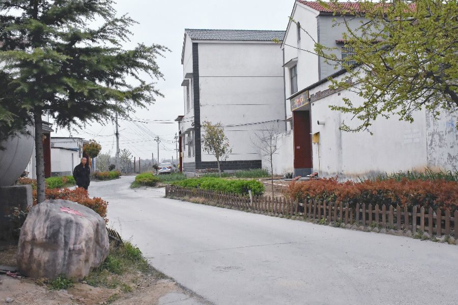 绿化村庄环境助力乡村振兴（张雪岩 摄）