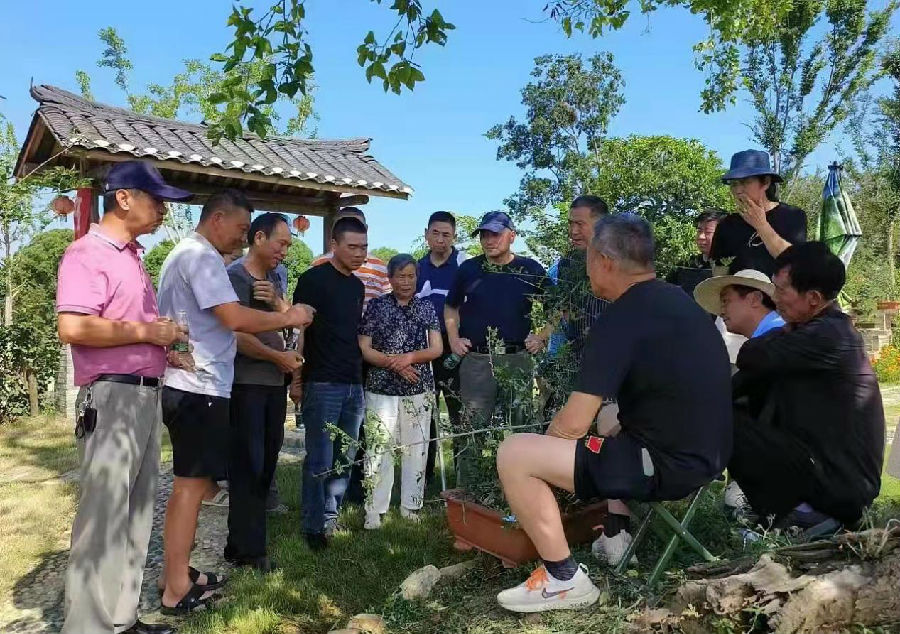 图为对节白蜡园艺师实训基地正在举行技术培训（苏传光 摄）