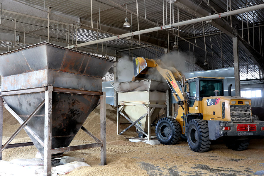 车间运输设备紧张作业中（牛宁 摄）