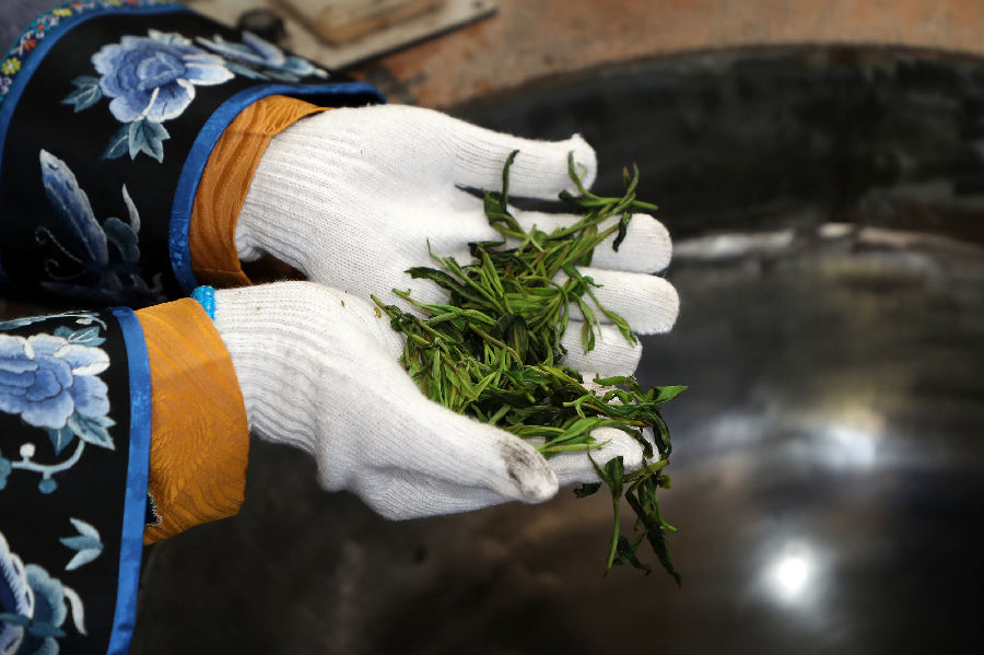 太平猴魁（吴昊 摄）