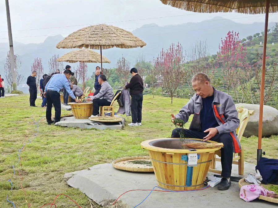 制茶师傅在茶园里现场炒茶（张成 摄）