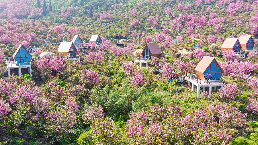 汶川文旅新消费场景 (严易程 摄)