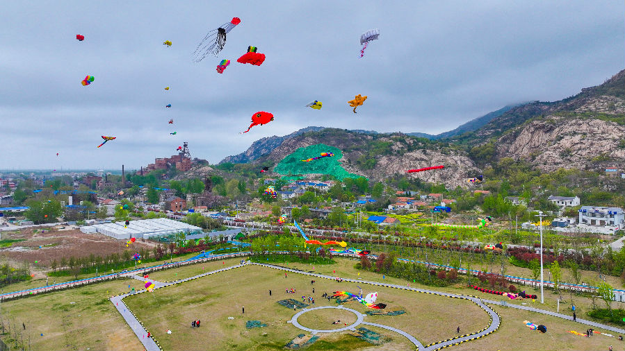 2024江苏省风筝精英赛现场（董京京 摄）