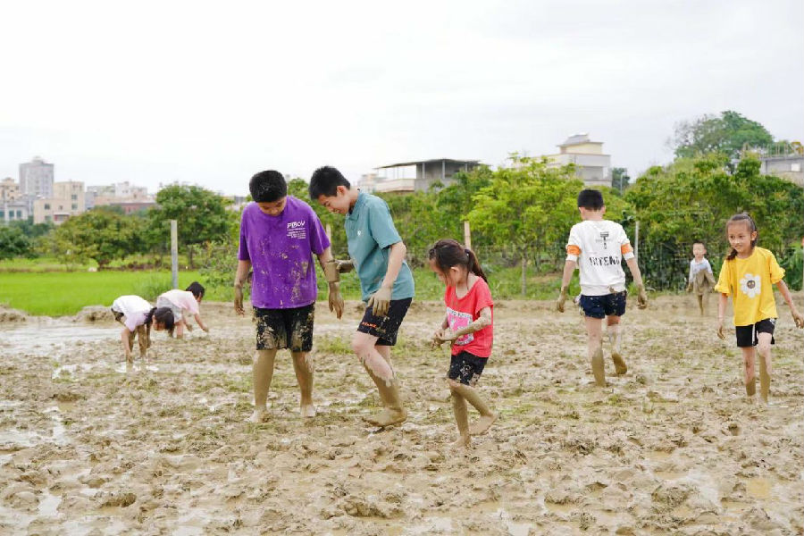 农耕活动（陈丹娜 摄）