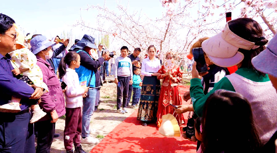 图为活动现场（魏百宁 摄）