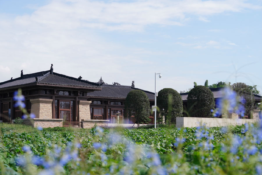 广都博物馆（刘婷 摄） 