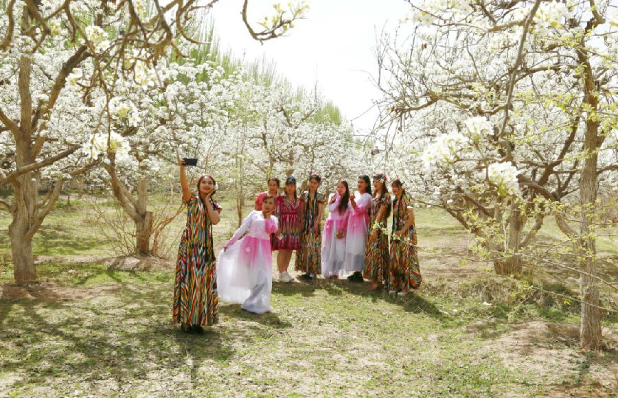 图为游客在梨园打卡拍照（吐尔松·托胡提 摄）