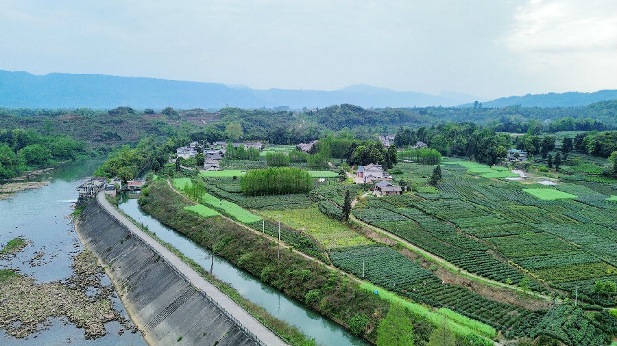 花溪渠春灌（张勇 摄）