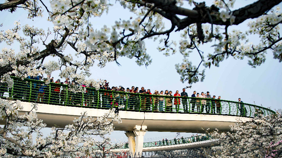 游客纷至沓来（朱莹莹 摄）