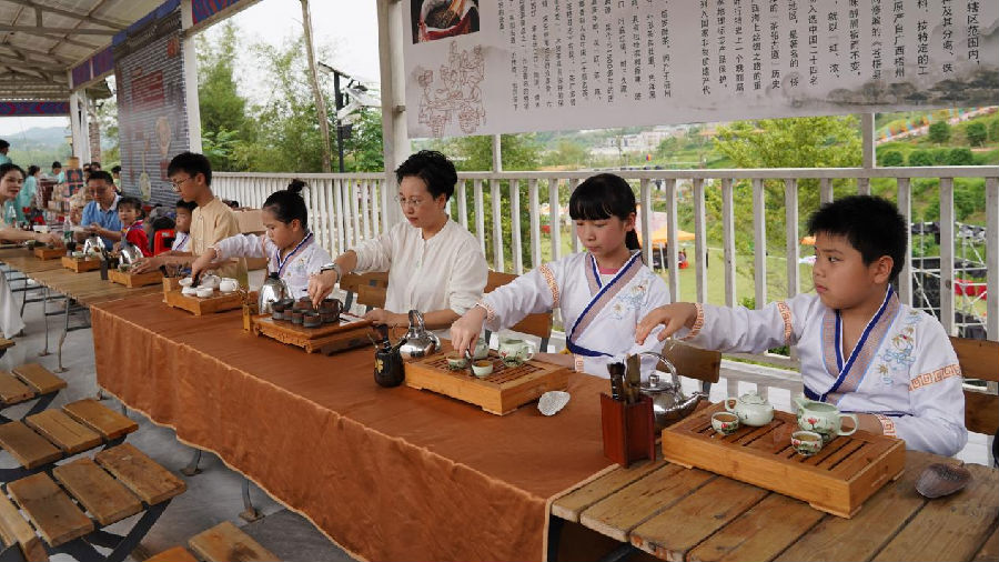 粤桂两地青少年们现场学习六堡茶为主题的茶叶冲泡（蔡敏锐 摄）