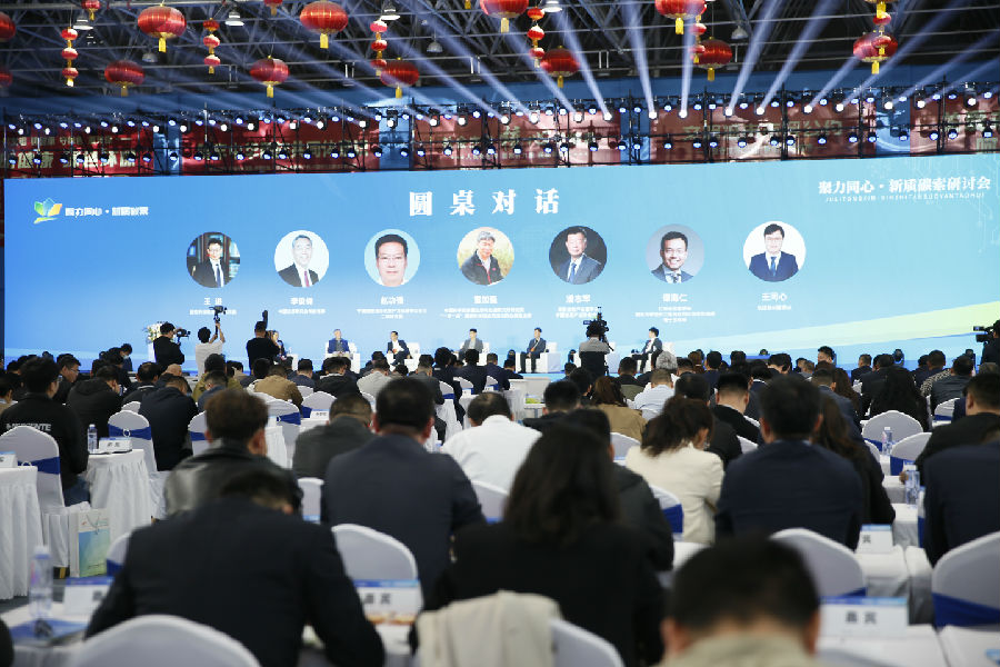 专家论坛（杨龙 摄）