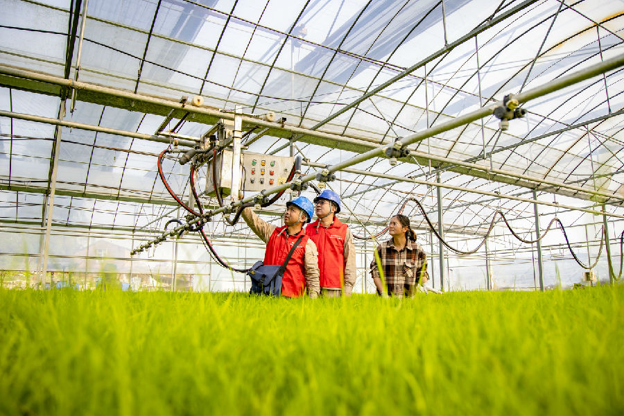 国网福建电力“双满意”（惠安海丝之光）共产党员服务队来到惠安县坤德农场育苗基地检查喷灌设备，排除设备安全隐患。（兰伟强 摄）