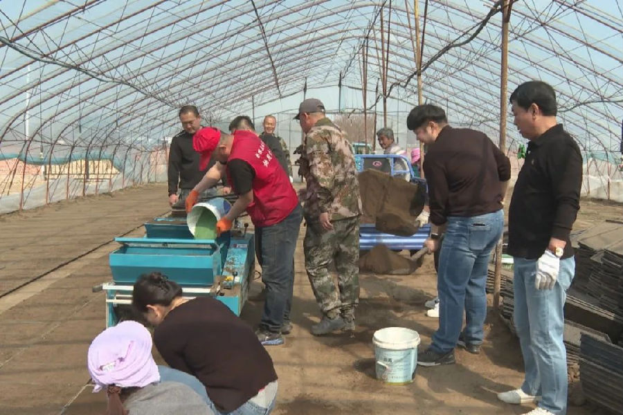 龙井市各地抢抓农时开展水稻育秧工作（韩美兰 摄）