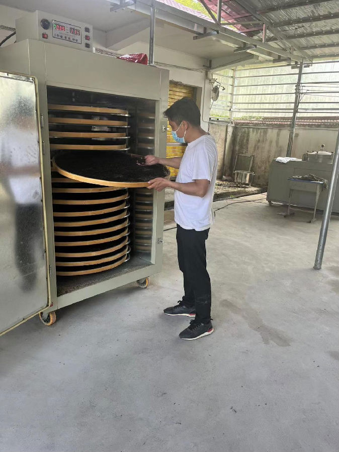 村民在茶厂务工(柯玉明 摄) 村民在茶厂务工(柯玉明 摄)