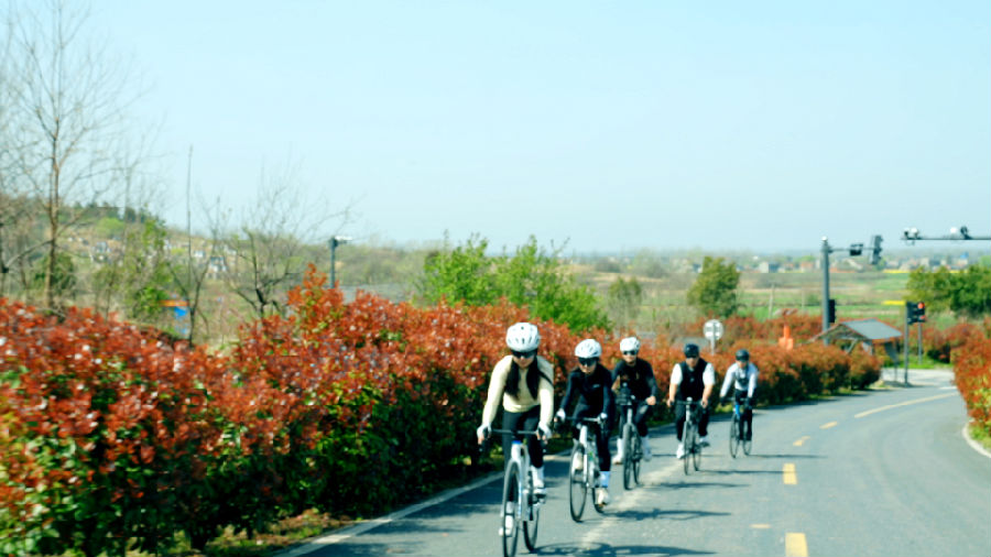 包公镇一景（胡子文 摄）