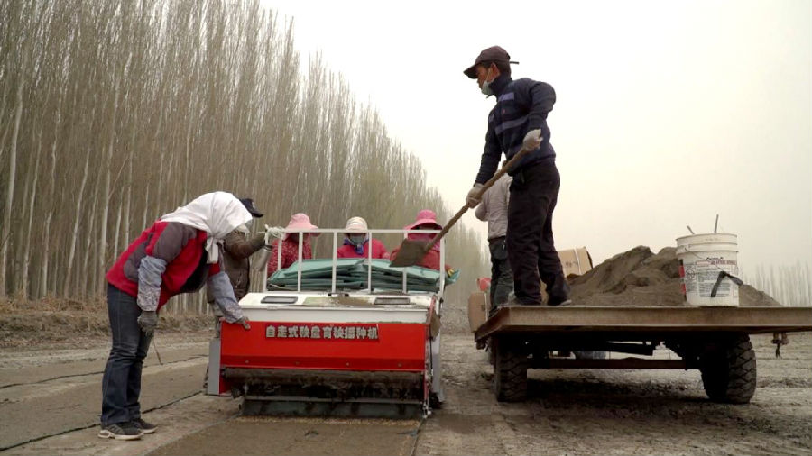 温宿县托乎拉乡托万克库尔巴格村水稻自动式播种机播种现场（徐伟 摄）