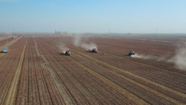 图为残膜回收现场（王旭 摄）