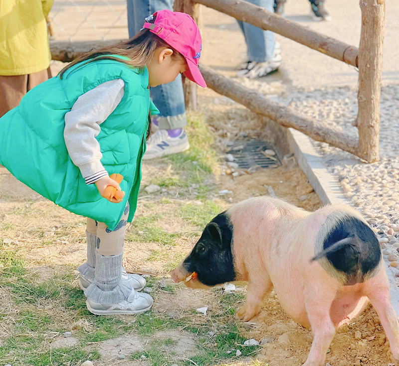 打造出亲子旅游新场景（王鹏 摄）