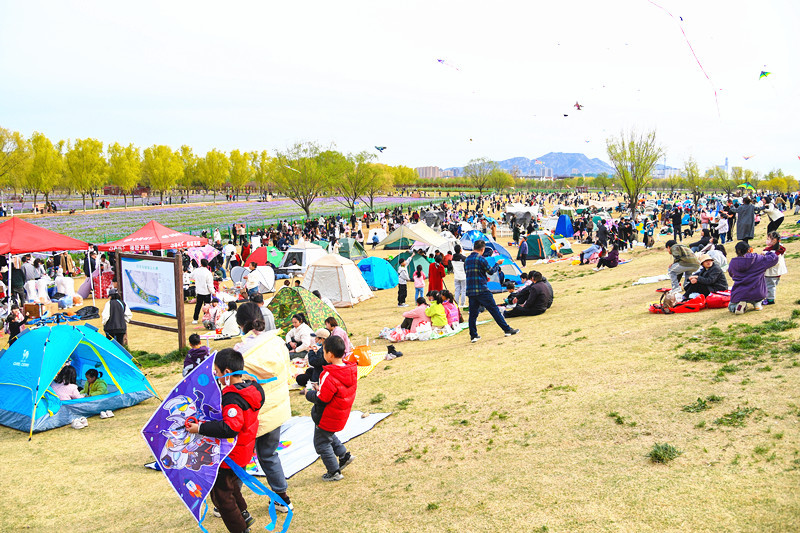 “轻便露营”备受青睐（王鹏 摄）