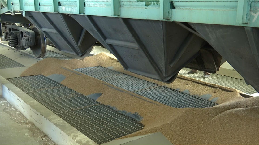 图为正在进行卸粮作业（布仁巴特 摄）