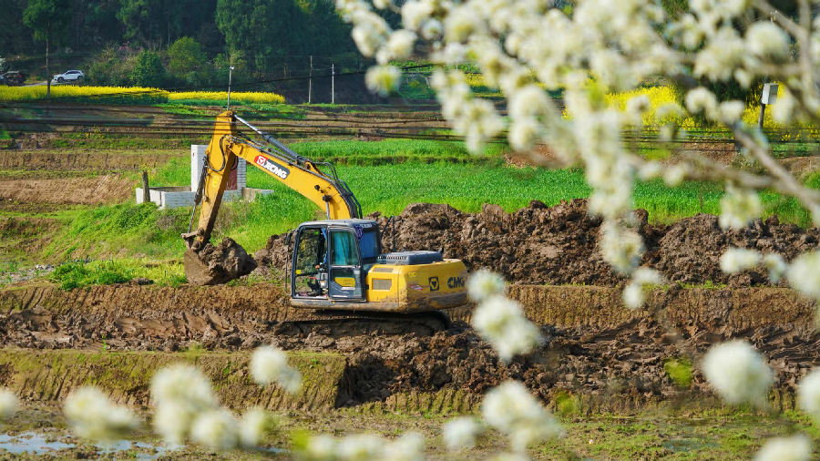 鸣龙镇猫儿山社区高标准农田建设现场（衡欢 摄）