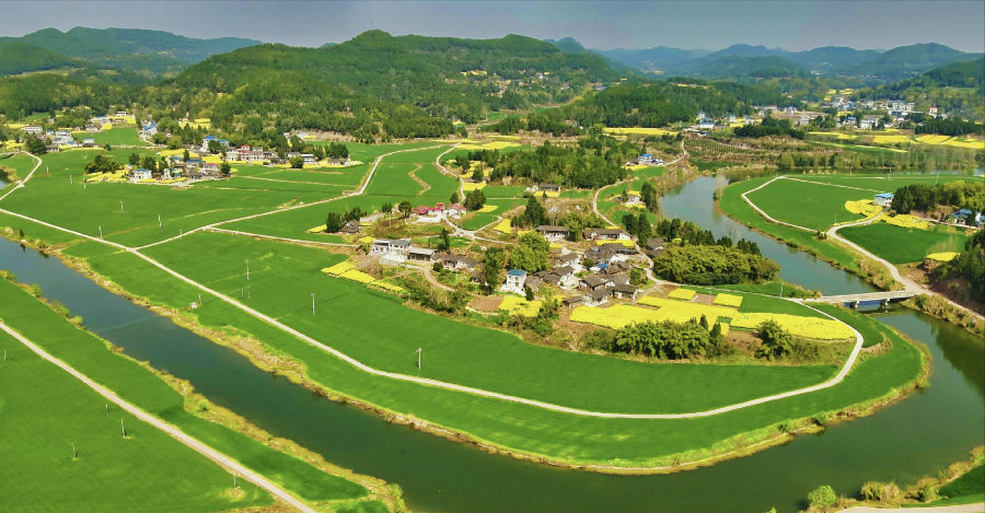 槐树镇双坝岭村小麦长势喜人（衡欢 摄）