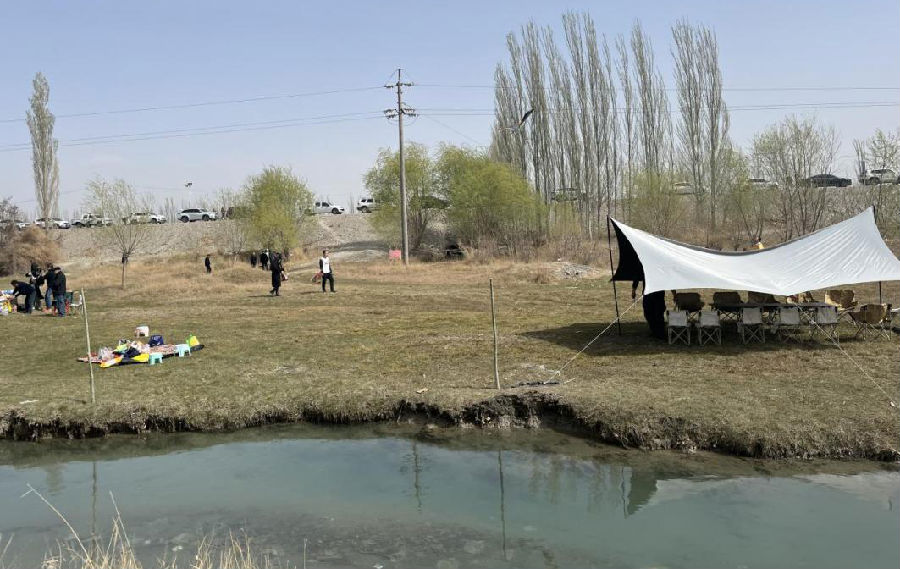 图为游客领略湿地美丽风光（张巷归 摄）