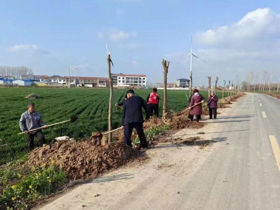 植树添绿美化乡村路（张雪岩 摄）