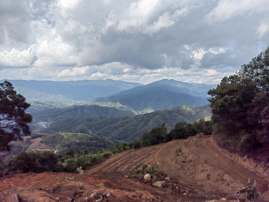 翻整好待种的甘蔗地（陈满刚 摄）