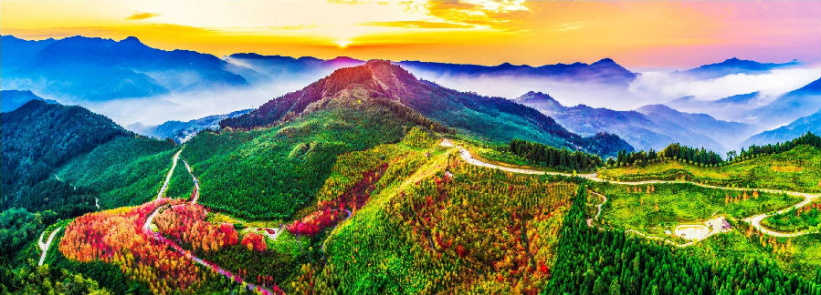 什邡红枫岭（石萱 摄）