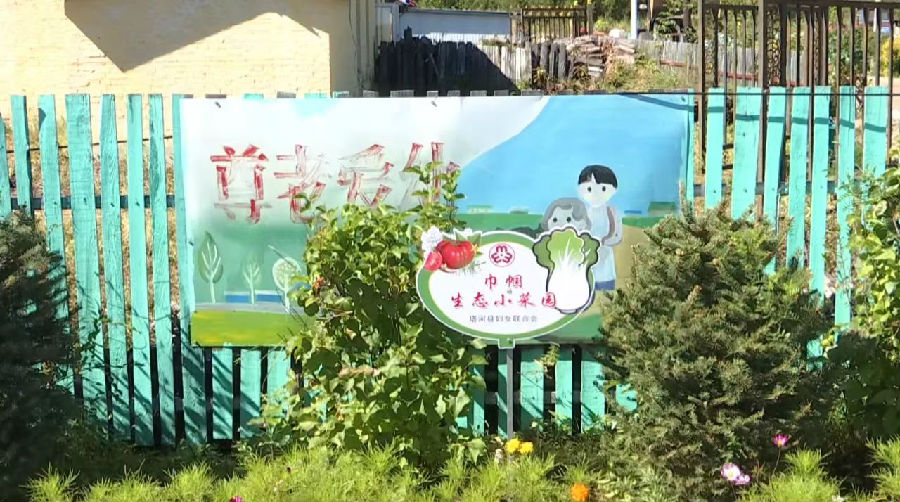 塔河县十八站乡生态小菜园一角（梁恩鹏 摄）