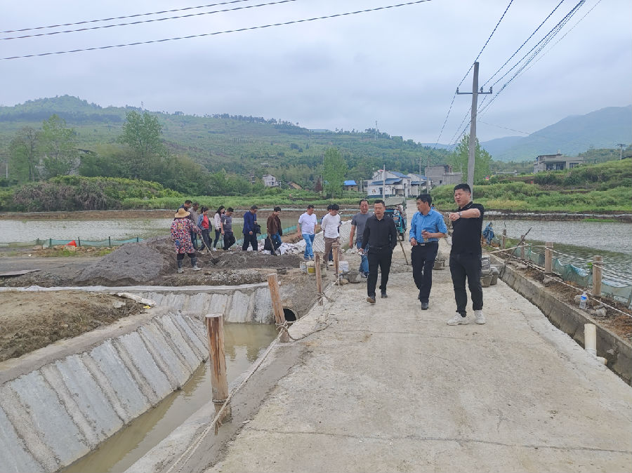 图为龙港镇人大组织农技专家在田间指导群众进行水利建设（李锐 摄）