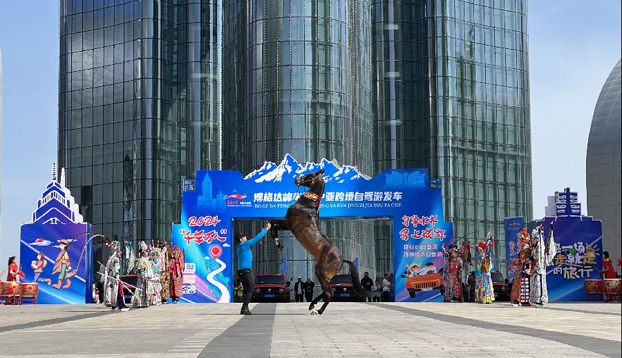 图为汗血宝马表演活动现场（赵艳微 摄）