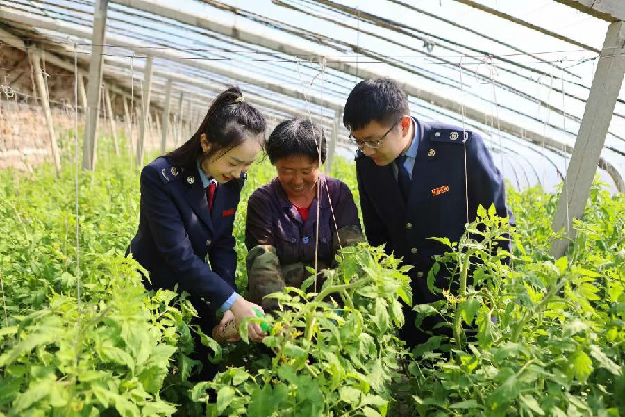 税务人员向农户宣传税费优惠政策（刘笑音 摄）