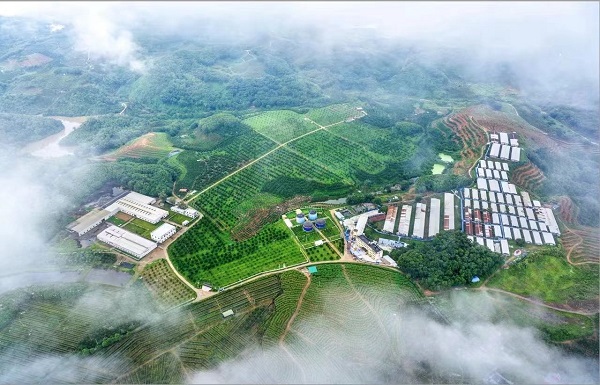 万保集团全貌。（张向东 摄）