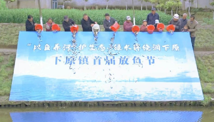 图为投放鱼苗时的情景（江希 摄）