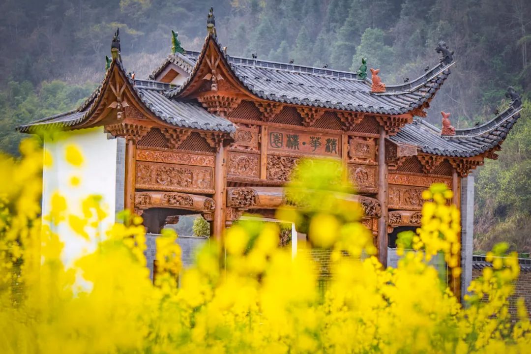 朴园大门  詹东华摄