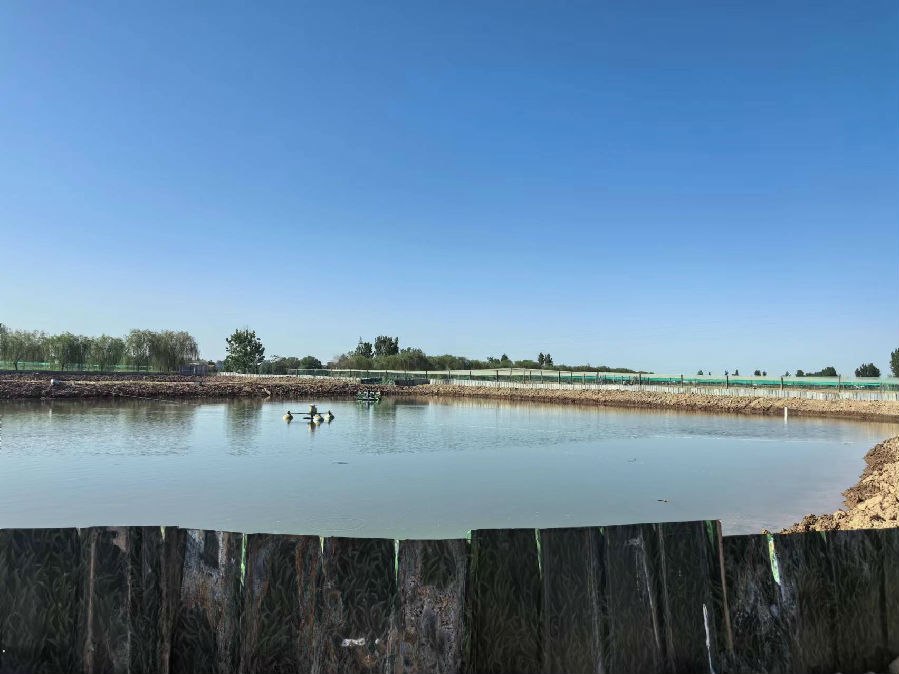 三众水产养殖基地（王凯杰 摄）