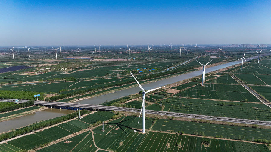 2024年4月24日，山东省乐陵市铁营镇乡村振兴衔接工程风力发电机组与绿色田野交相辉映。（贾鹏 摄）