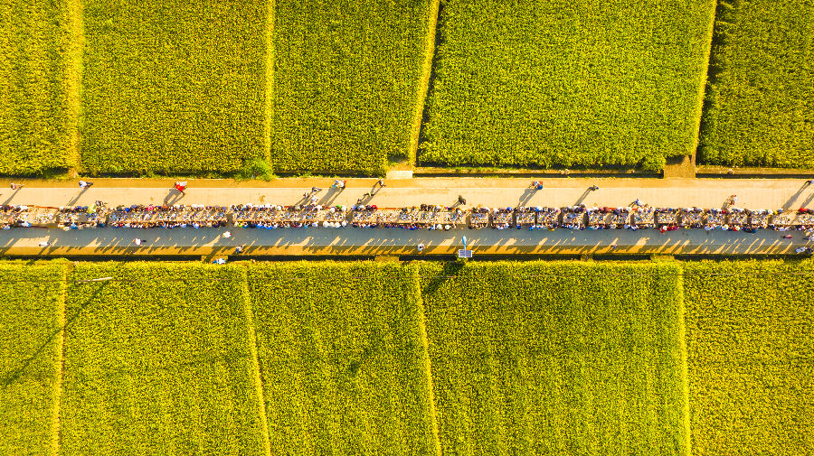 盐边县惠民镇庆丰收稻田音乐会长桌宴（颜萱 摄）