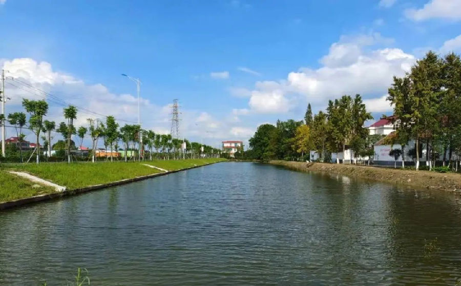 河畅、水清、岸绿、景美的河道（江希 摄）