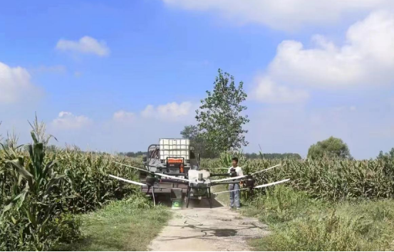 飞防作业现场（单珊 摄）