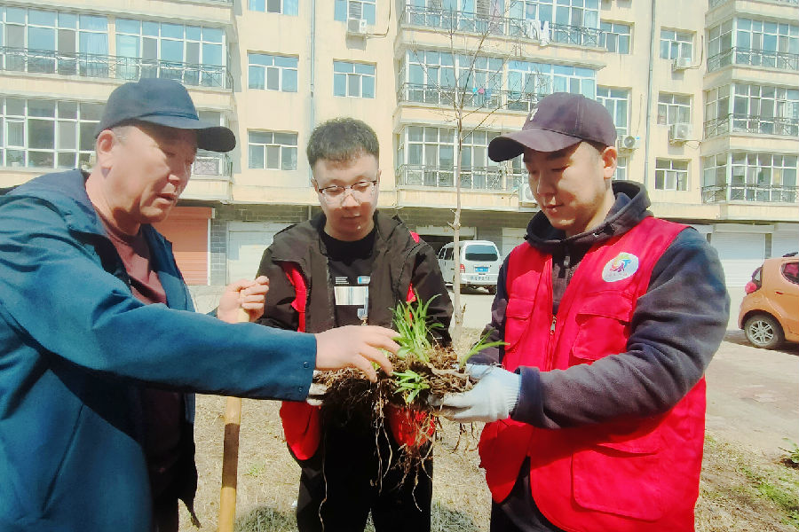志愿者参加栽花种草植绿文明实践活动 （钱玺勇 摄）