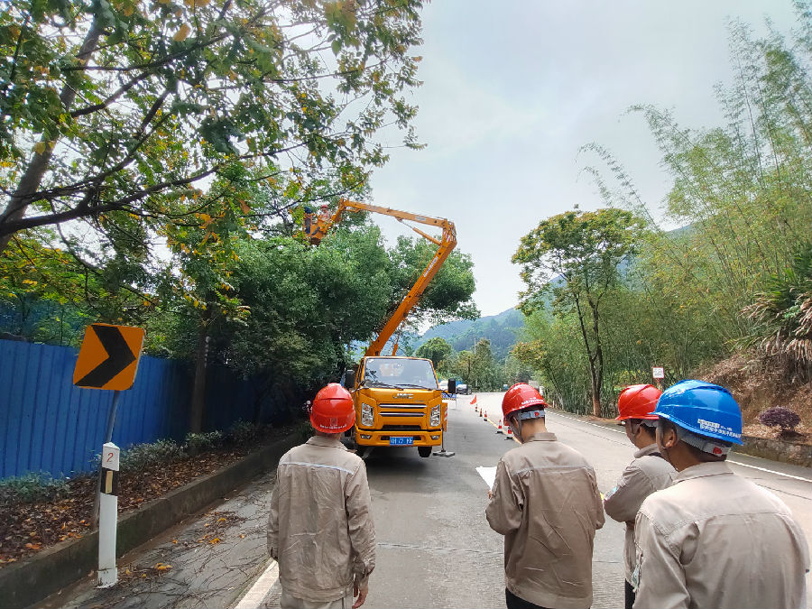 供电员工利用高空作业车对树障进行消缺（林琳 摄）