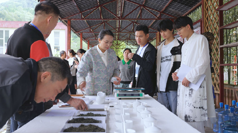 枇杷茶新品发布(王佑涵 摄)