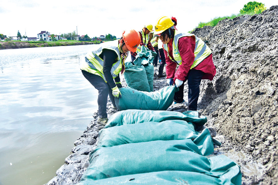 图为如皋市水务局加快建设丁堡河(如皋段)防洪排涝能力(吴小星 摄) 图为如皋市水务局加快建设丁堡河(如皋段)防洪排涝能力(吴小星 摄)